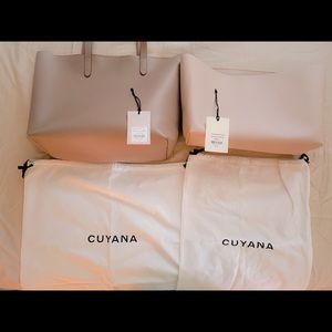 Cuyana Classic Leather Tote Soft Rose + Matching Tote Organizer Insert Blush.